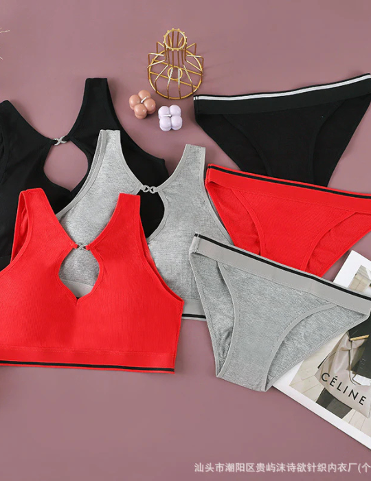 Two-Piece Seamless Cotton Lingerie Set – Padded Bra & Hipster Briefs-5824